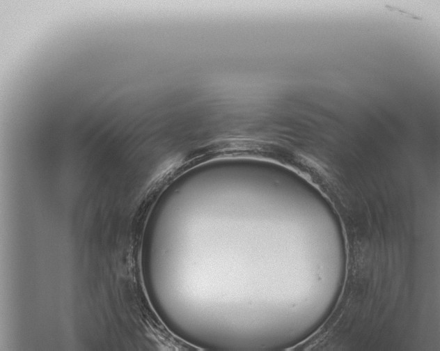 X0000059831403200510281745