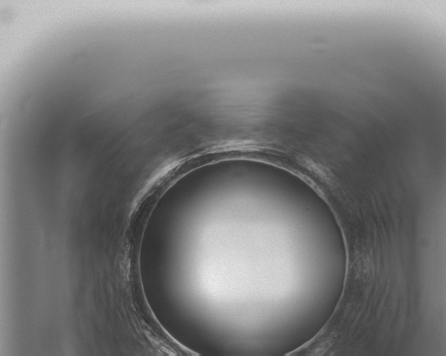 X0000059831406200510281745