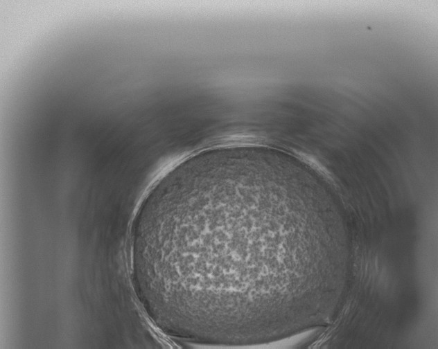 X0000059831413200510281746