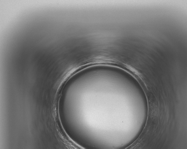 X0000059831415200510281746