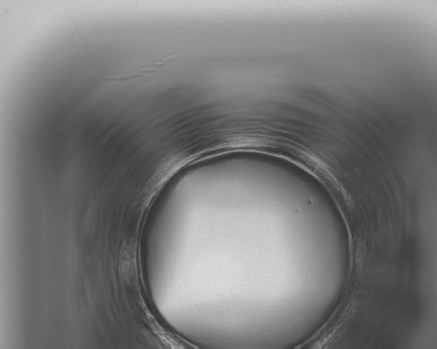 X0000059831417200510281746