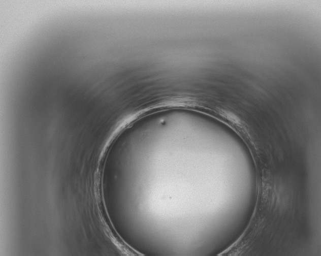 X0000059831421200510281746