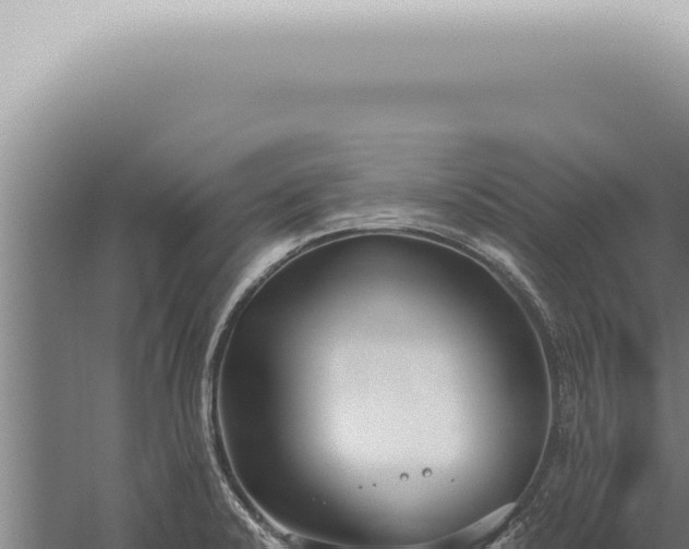 X0000059831424200510281746