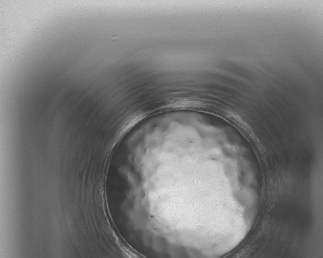 X0000059831425200510281746