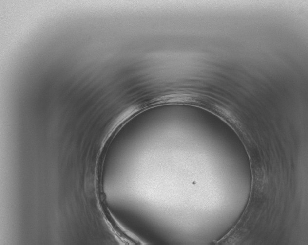 X0000059831426200510281746