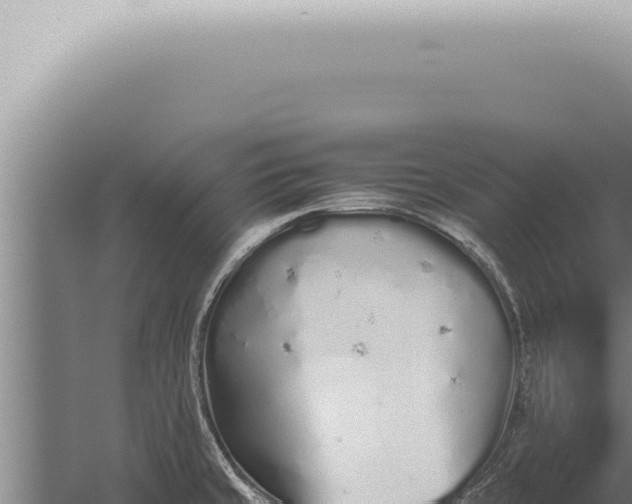 X0000059831429200510281746