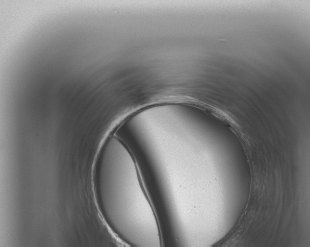 X0000059831430200510281746