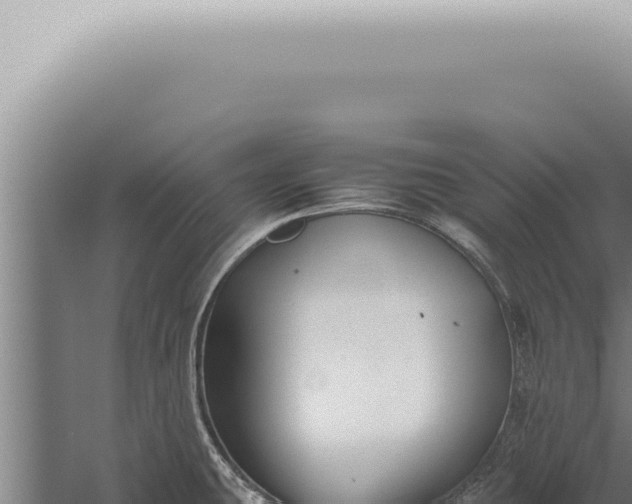 X0000059831431200510281746