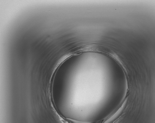 X0000059831434200510281746