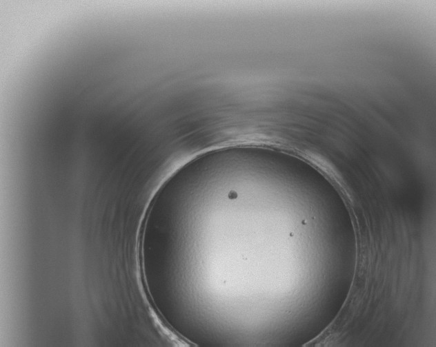 X0000059831439200510281746