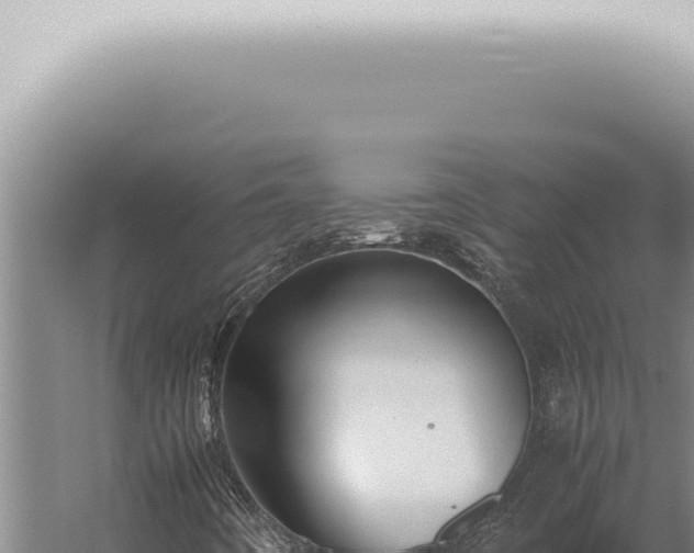 X0000059831442200510281745