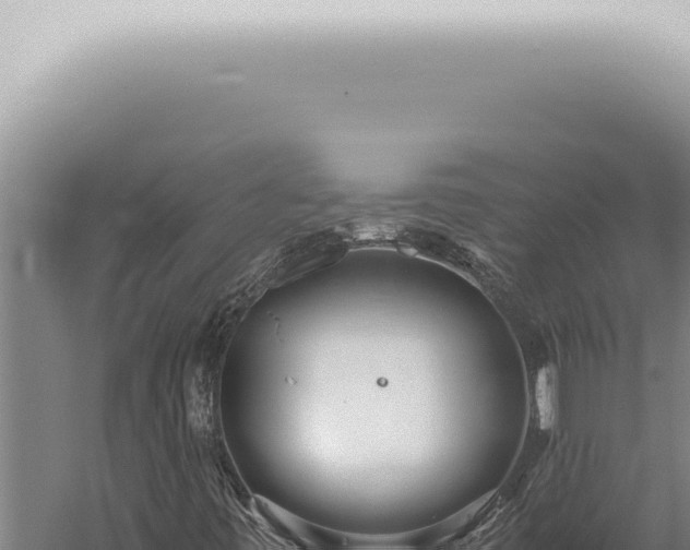 X0000059831443200510281745