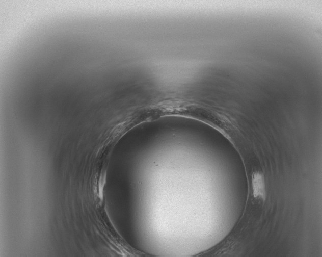 X0000059831444200510281745