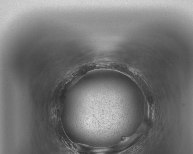 X0000059831445200510281745