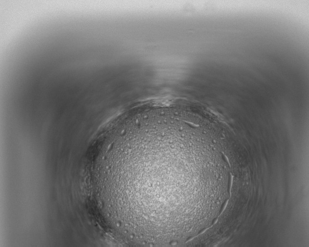 X0000059831446200510281745