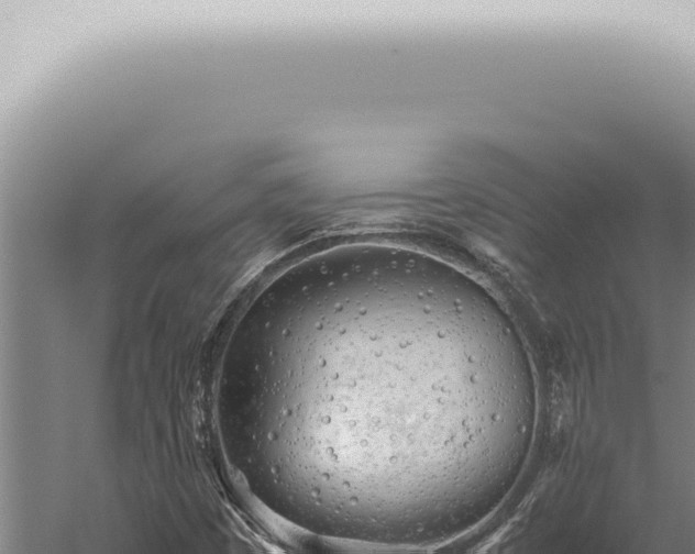 X0000059831449200510281745