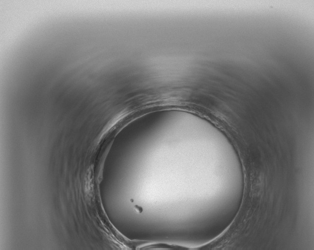 X0000059831450200510281745