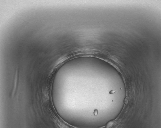 X0000059831451200510281745