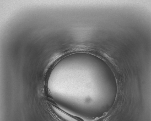 X0000059831453200510281745