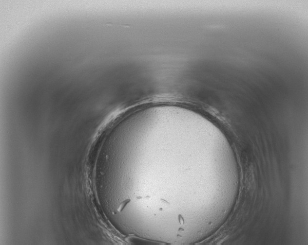 X0000059831454200510281745