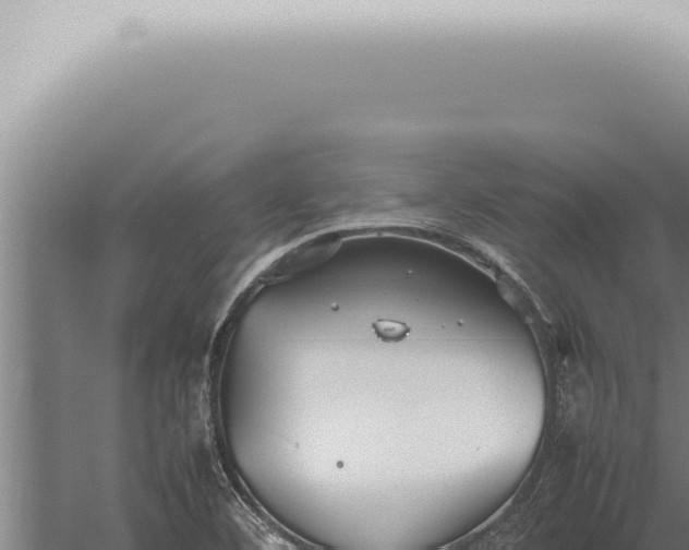 X0000059831460200510281745