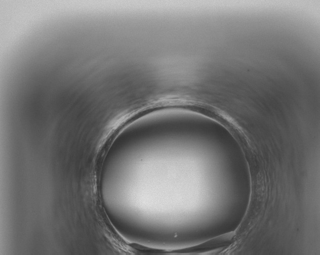 X0000059831461200510281745