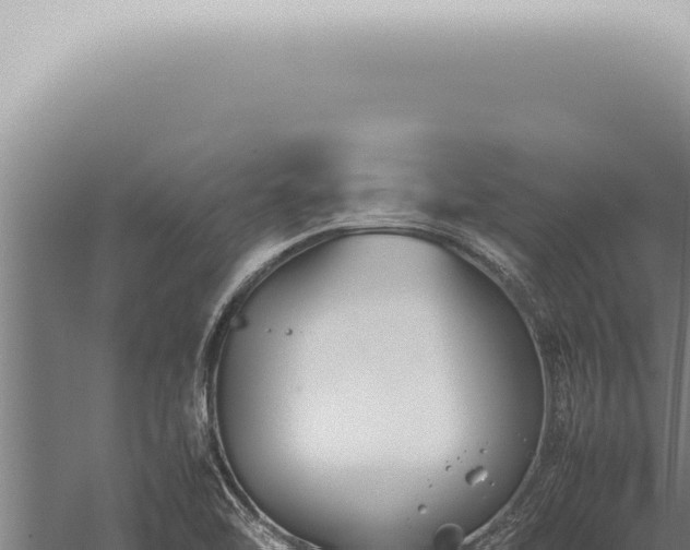 X0000059831462200510281745