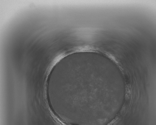 X0000059831463200510281745