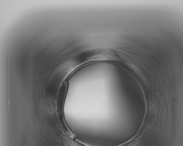 X0000059831465200510281745