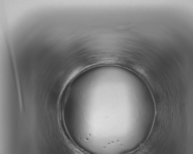 X0000059831467200510281745