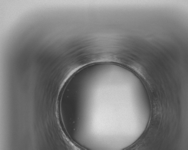 X0000059831468200510281745