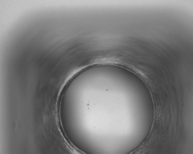 X0000059831470200510281745