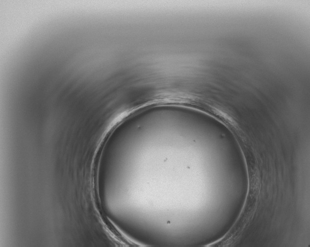 X0000059831471200510281745