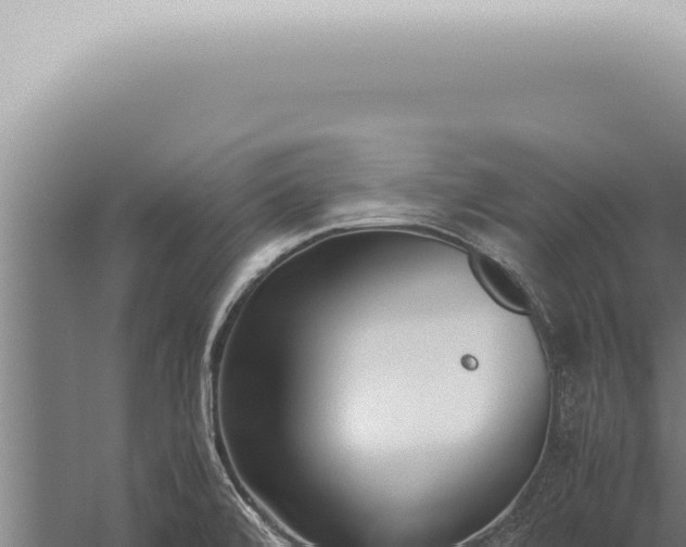 X0000059831472200510281745