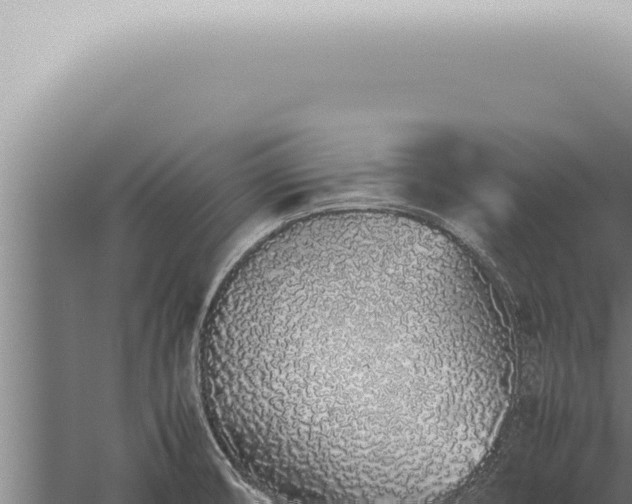 X0000059831474200510281745