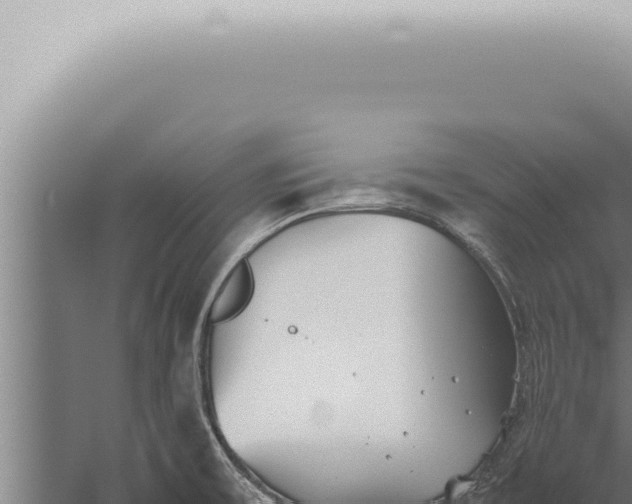 X0000059831475200510281745