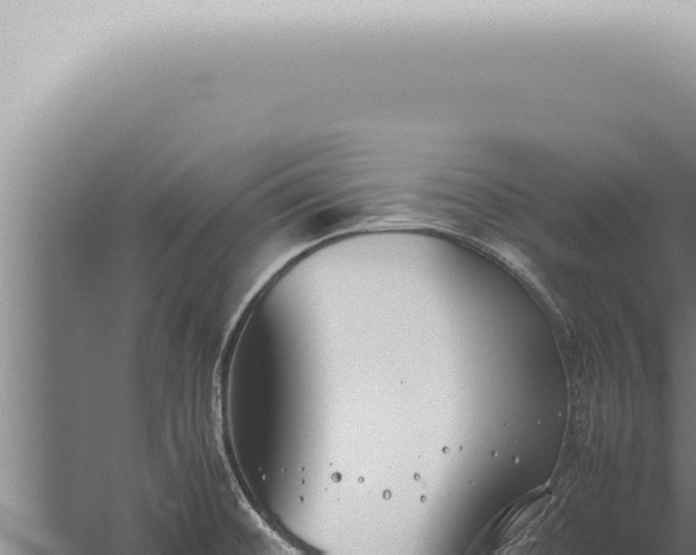 X0000059831476200510281745