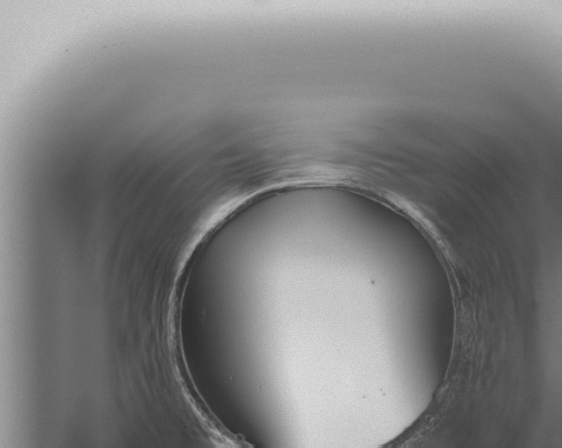 X0000059831477200510281745