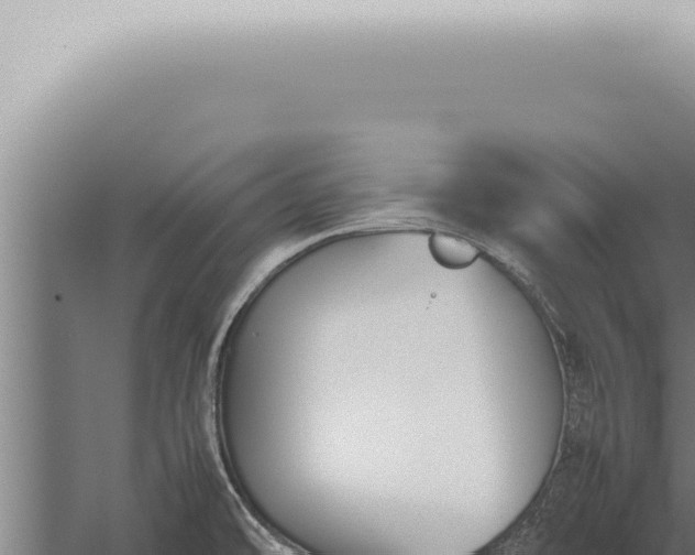 X0000059831478200510281745