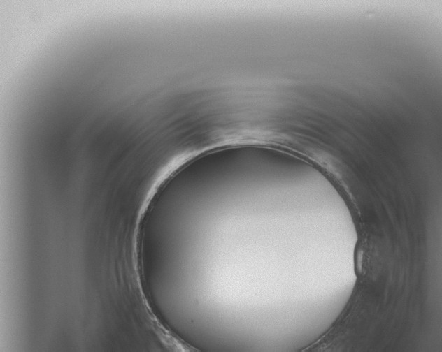 X0000059831480200510281745