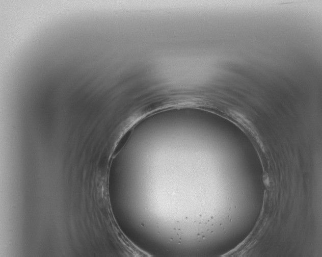 X0000059831481200510281745