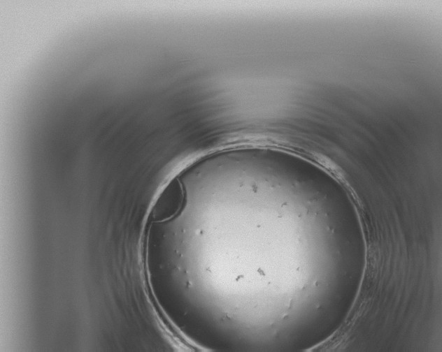 X0000059831482200510281745