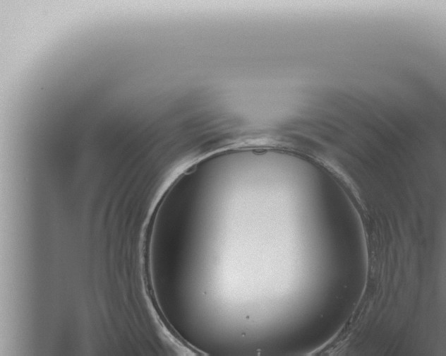 X0000059831483200510281745