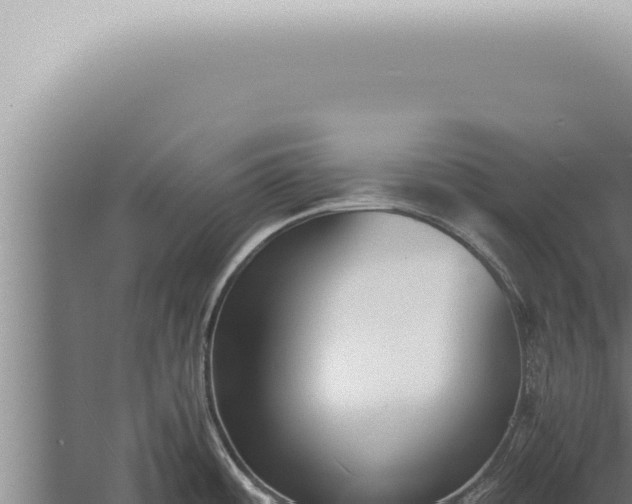 X0000059831484200510281745