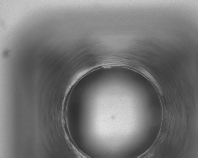 X0000059831485200510281745