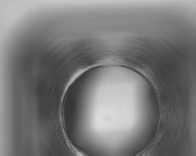 X0000059831486200510281744