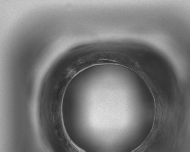 X0000059831487200510281744