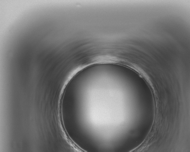 X0000059831488200510281744