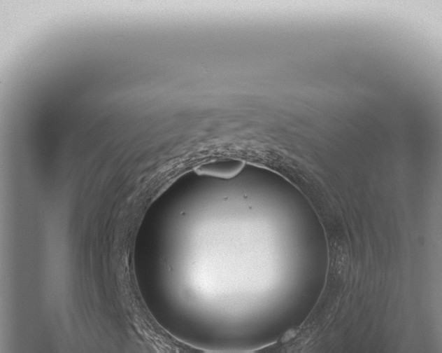 X0000059831489200510281744