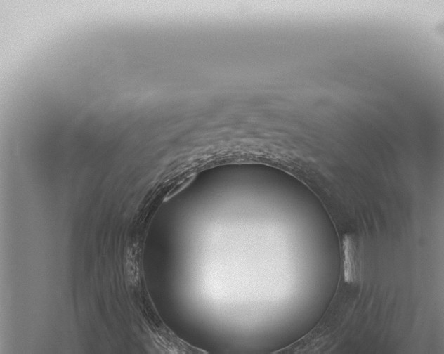 X0000059831491200510281744